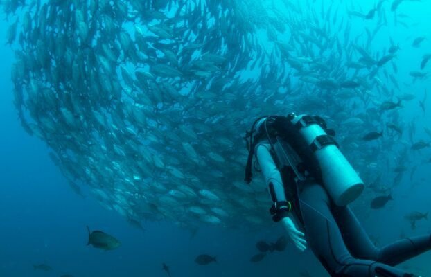 Los Mejores Destinos de Buceo del Mundo en 2025