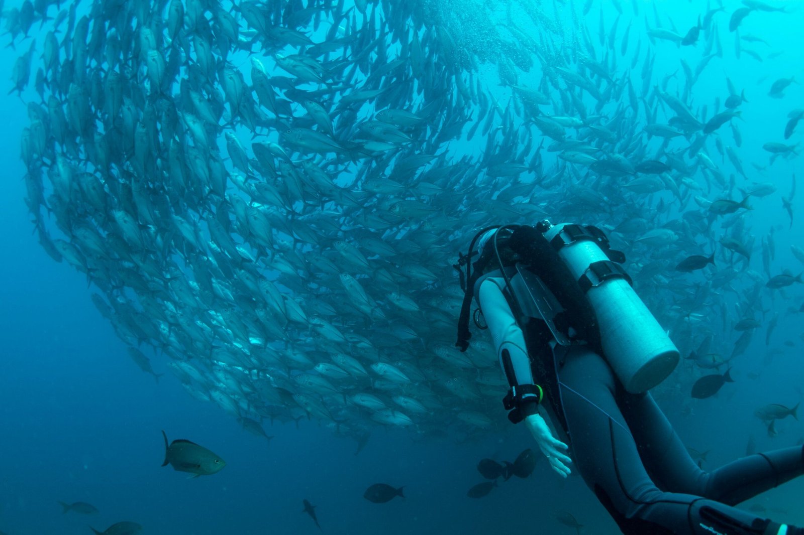 Los Mejores Destinos de Buceo del Mundo en 2025