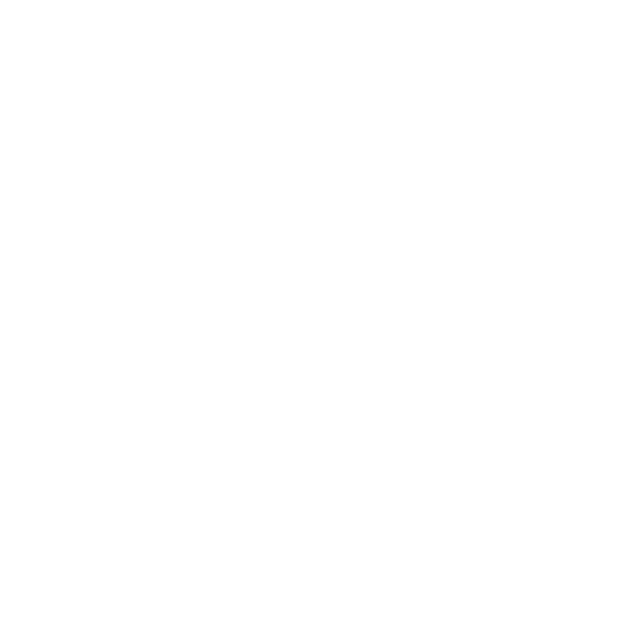 FavIcon Blanco
