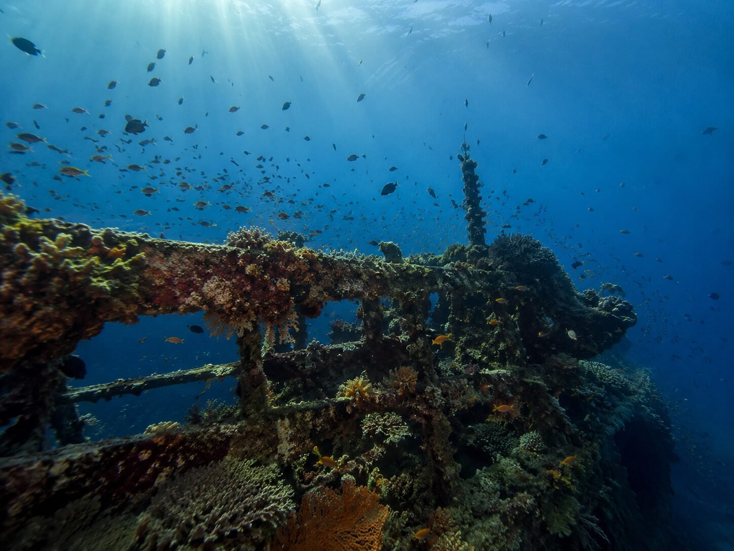 Buceo en Indonesia 2 Pecio hundido en Amed, Bali, inmersión en un viaje de buceo en Indonesia