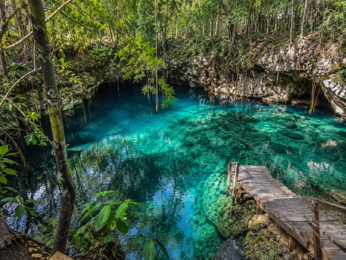 BAJA CALIFORNIA / PLAYA DEL CARMEN / REVILLAGIGEDO