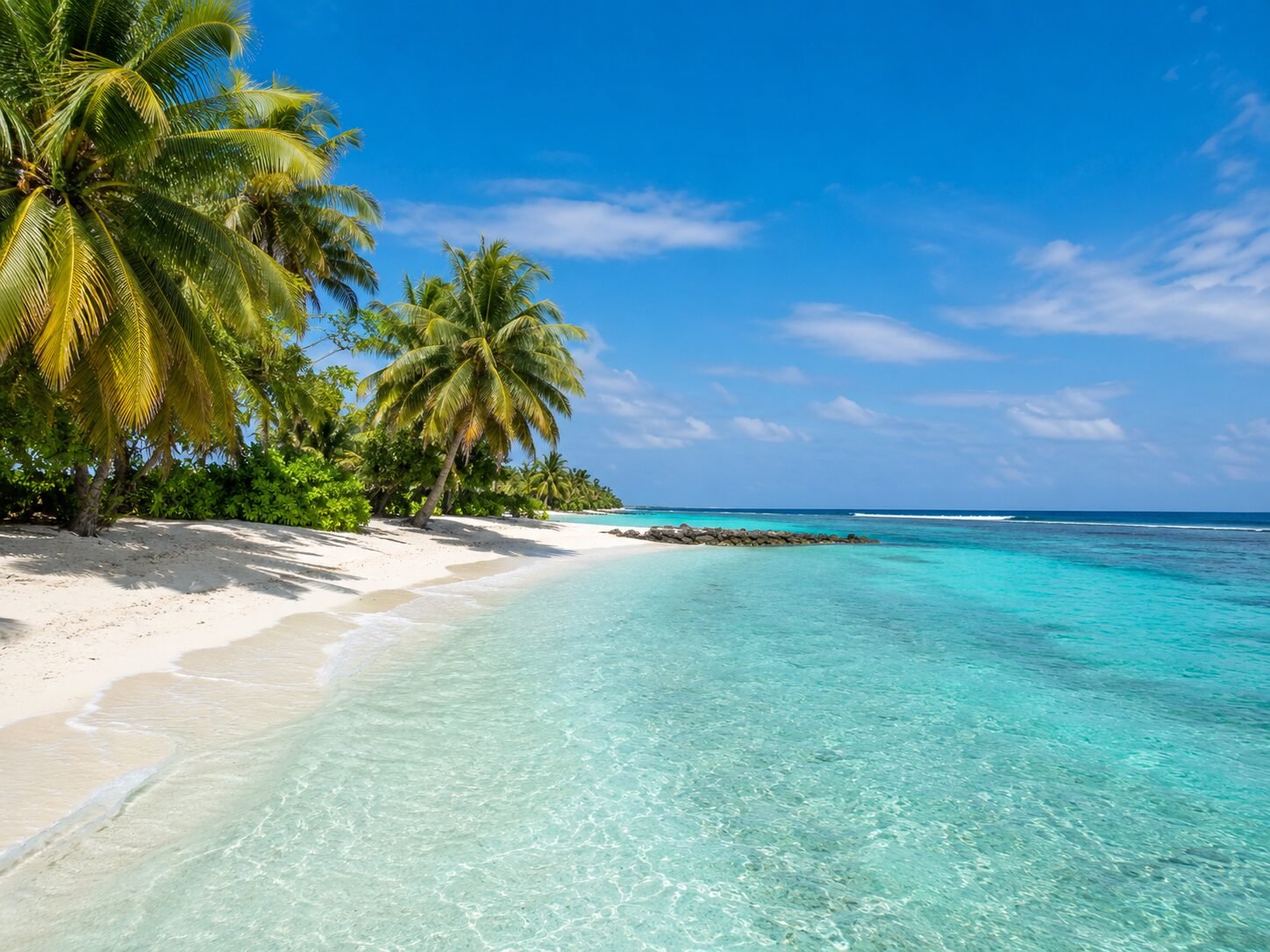 Buceo en Maldivas 4 Buceo en Fuvahmulah, Maldivas
