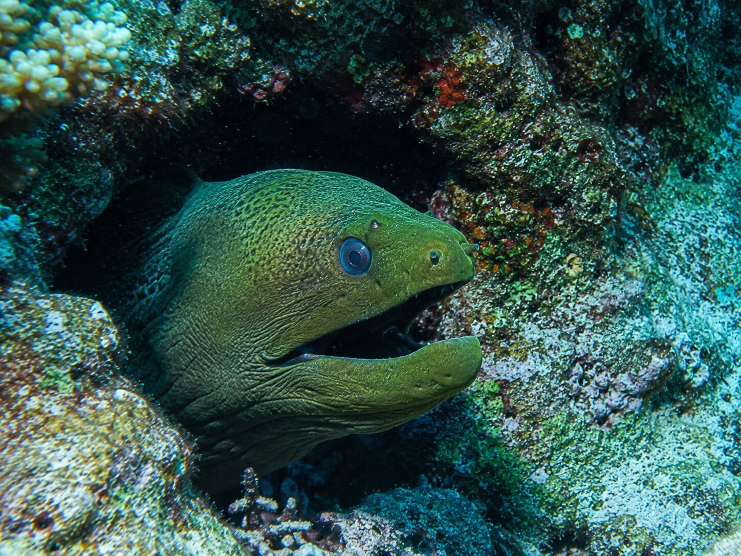 Destinos de buceo para buceadores particulares y grupos